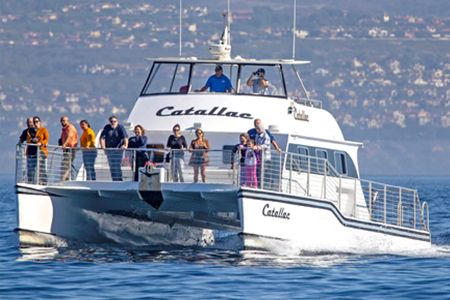 rental boat balboa island