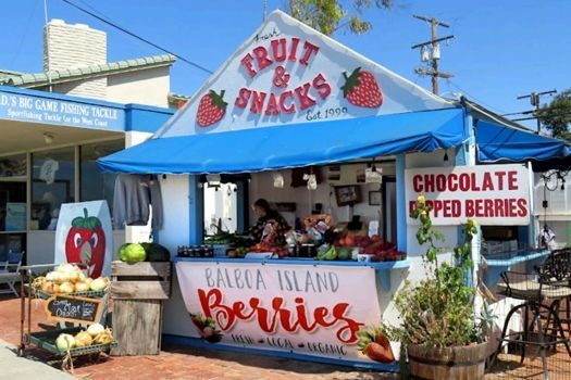 balboa-island-berries