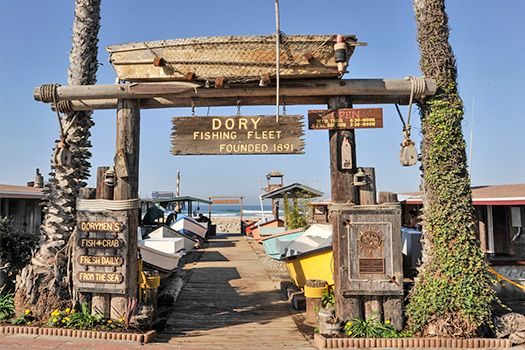 dory-fish-market